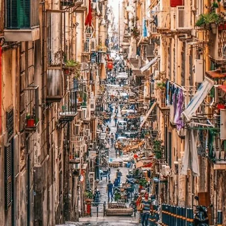 Junior Lejlighed Napoli